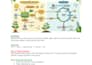 create professional biology notes, mcqs and study materials